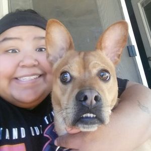 Meet your Posher, Tay